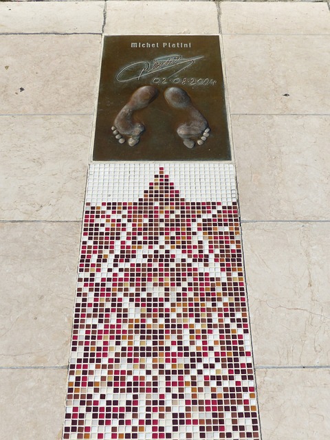 蔡晓晴中流砥柱 河南女排找到“答案”.